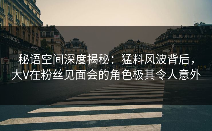 秘语空间深度揭秘：猛料风波背后，大V在粉丝见面会的角色极其令人意外