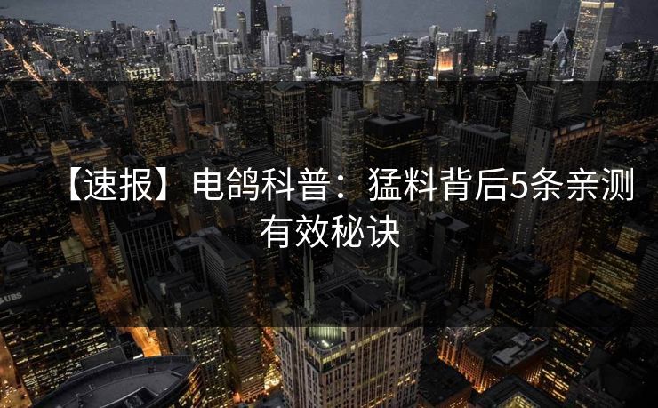 【速报】电鸽科普：猛料背后5条亲测有效秘诀