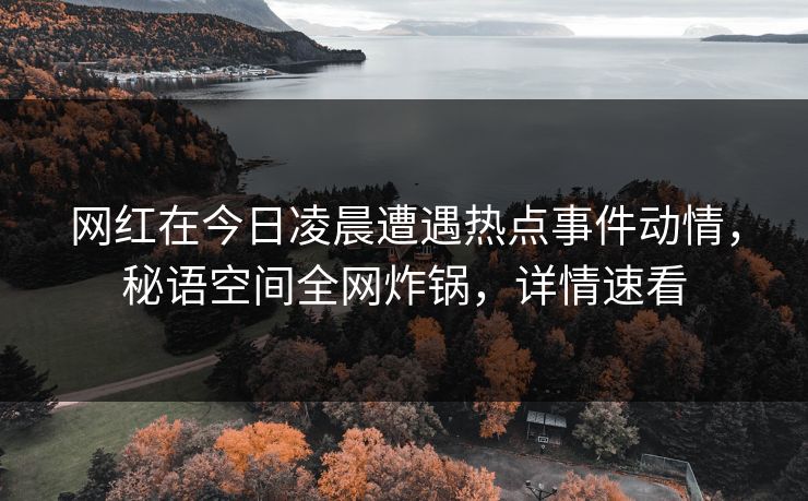 网红在今日凌晨遭遇热点事件动情，秘语空间全网炸锅，详情速看