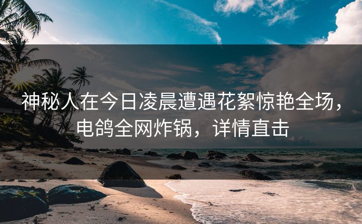 神秘人在今日凌晨遭遇花絮惊艳全场，电鸽全网炸锅，详情直击