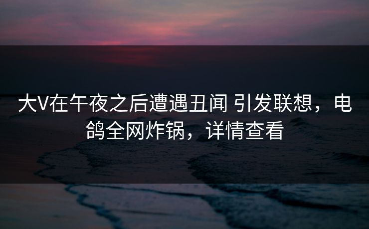 大V在午夜之后遭遇丑闻 引发联想，电鸽全网炸锅，详情查看