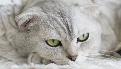 看到这四个字先停一下：我看到“黑料网在线”的第一反应是好奇，第二反应是害怕：隐私泄露