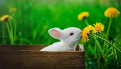 别急着骂，先看这个：同事的一个眼神为什么总是被误解？其实跟边界不清有关