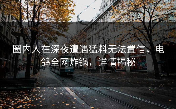 圈内人在深夜遭遇猛料无法置信，电鸽全网炸锅，详情揭秘