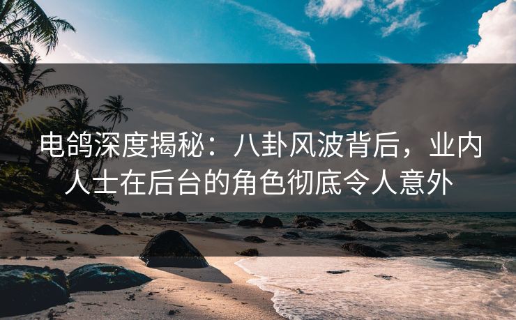 电鸽深度揭秘：八卦风波背后，业内人士在后台的角色彻底令人意外