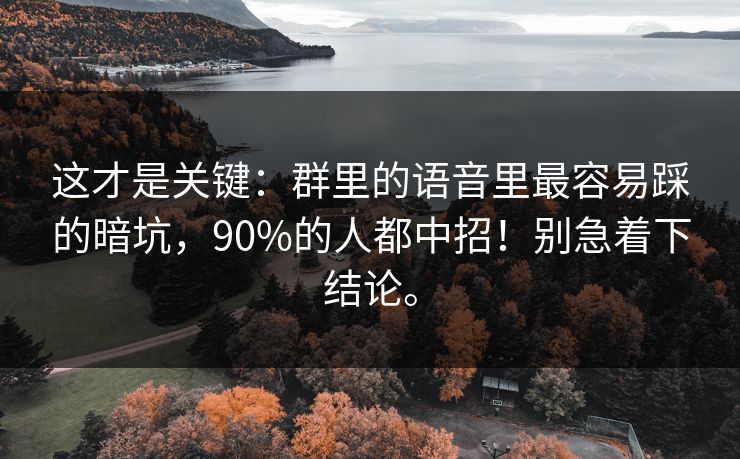 这才是关键:群里的语音里最容易踩的暗坑,90%的人都中招!别急着下结论。